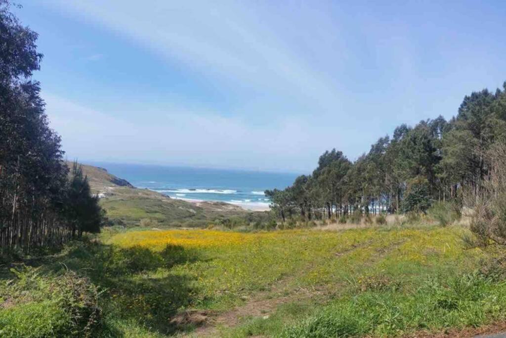 Junto Camino De Santiago,1ª Linea De Playa Finisterre