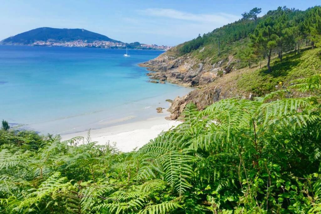 Apartament Junto Camino De Santiago,1ª Linea De Playa